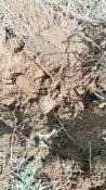 IMG_20200428_112653.jpg