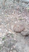 IMG_20200428_102422.jpg