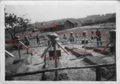 Elite, XX Totenkopf Inf Regt 3, Regementsstab 12.jpg