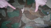 2013-01-29-556.jpg