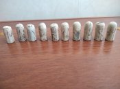 25 пуль Бердана