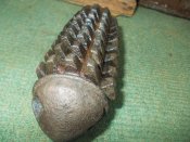 DSCN5448.jpg