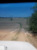 IMG_20200501_142520.jpg