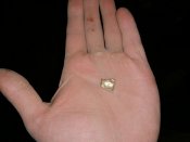 IMG_20200428_215518.jpg