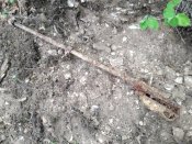 IMG_20200502_132557.jpg