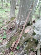 IMG_20200502_132824.jpg