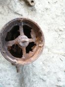 IMG_20200503_150430.jpg
