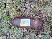 IMG_20200503_162752.jpg