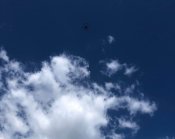 94419836_831181754070585_2564593262421606400_o.jpg