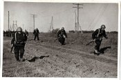 сканирование0017.jpg