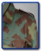 pz12002.jpg
