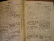 IMG_0441.jpg