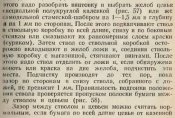 22236901_32094.jpg