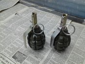 IMG_20130131_134209.jpg