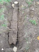 IMG_20200505_173205.jpg