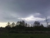 IMG_20200505_184728.jpg