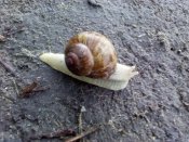 IMG_20200505_183102.jpg