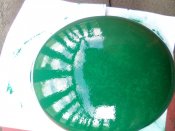IMG_20200506_153940.jpg