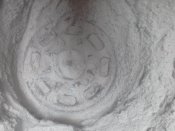 20200506_160400.jpg