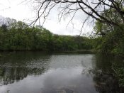 DSCN6435.JPG