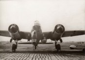 s-l1600 (13).jpg