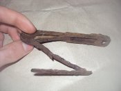 DSC08674.jpg