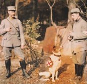 Kutyak_francia_hadsereg.jpg