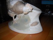 DSCN0234.jpg