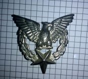 Беретный знак Орёл
