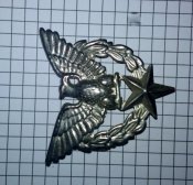 Беретный знак Орёл