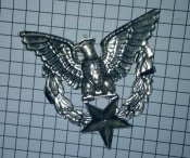 Беретный знак Орёл