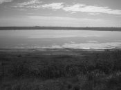 IMG_2380-Exposure 51.JPG