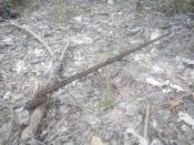 IMG_20200509_151914.jpg
