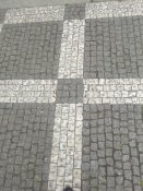 IMG_20200510_093209.jpg