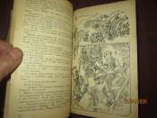 Червленые щиты