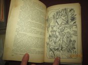 Червленые щиты