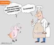 karikatura-svinka_(valeriy-tarasenko)_29831.jpg
