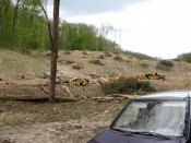 IMG_0130.JPG