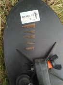 IMG_20200510_181152.jpg
