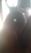 20200427_112118.jpg