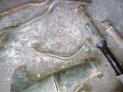 IMG_20200511_173728.jpg