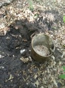 IMG_20200511_174359.jpg