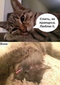 изображение_viber_2020-05-11_10-29-39.jpg