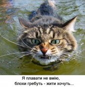 изображение_viber_2020-05-11_22-26-46.jpg