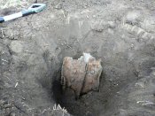 IMG_20200511_130812.jpg