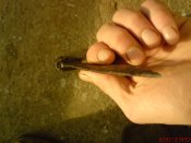 DSC02055.JPG