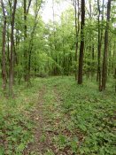 IMG_20200512_160224.jpg