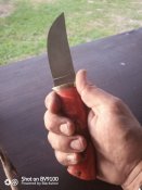 IMG_20200511_201012_2.jpg