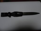 DSCN4698.jpg