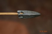 DSC_7911.JPG